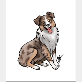 Dog - Australian Shepherd - Red Merle Posters and Art